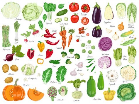 Vegetables Watercolor, Seasonal Fruits And Vegetables, Autumn Art Print, Safari Art, Vegetable Illustration, Seasonal Fruits, Plant Art Print, Print Decor, Watercolor Illustrations