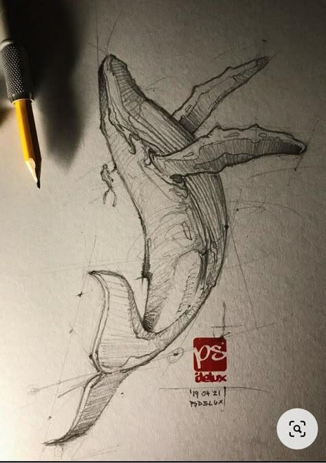 Pencil Sketches Of Animals, Whale Sketch, Whale Artwork, Pencil Drawing Ideas, Horse Art Drawing, Drawn Fish, Whale Tattoos, Fish Artwork, Animal Drawings Sketches