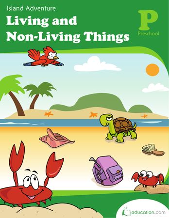 Teach your child about living and non-living things with this cute animal-themed workbook. He'll also learn build his classifying, language, and observation skills. Non Living Things, Pre-k Science, Life Science Activities, Living And Nonliving, Prewriting Skills, Preschool Workbooks, Teamwork Skills, Preschool Reading, Island Adventure