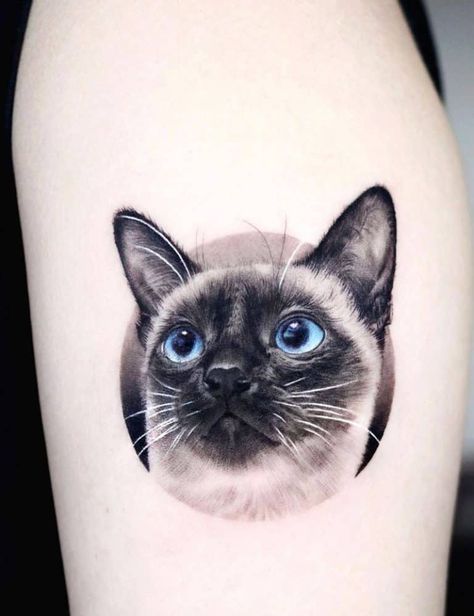 Realistic Cat Tattoo, Siamese Cat Tattoos, Cat Face Tattoos, Egyptian Cat Tattoos, Tattoo Gato, Watercolor Cat Tattoo, Cat Paw Tattoos, Cat Portrait Tattoos, Cat Tattoo Simple