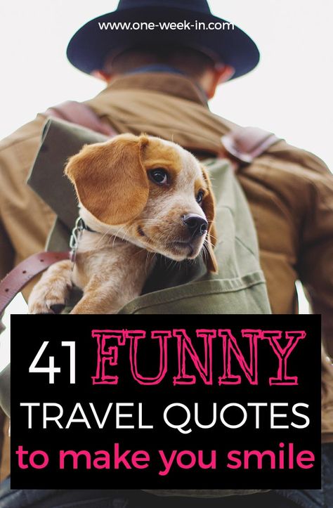 Funny travel quotes to make you smile Funny Travel Quotes, Friday Quotes Funny, Chico California, Funny Travel, Motivation Poster, Cute Couple Quotes, Grammar School, Funny Quotes Sarcasm, Funny Quotes For Teens