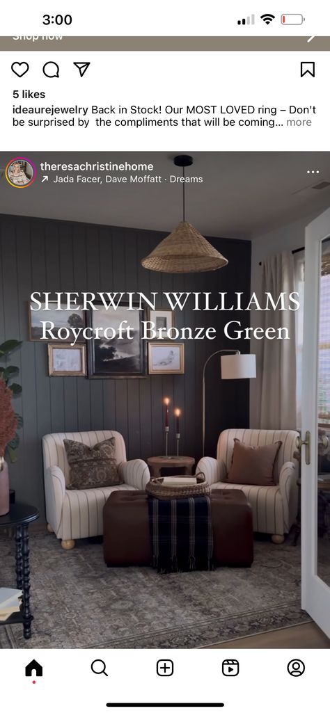 Moody Color Palette Sherwin Williams, Bronze Green Sherwin Williams, Porpoise Sherwin Williams, Roycroft Bronze Green Sherwin Williams, Roycroft Bronze Green, Green Sherwin Williams, Bronze Paint, Sherwin Williams Color Palette, Barndominium Interior