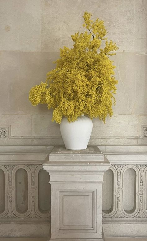 Contemporary Wedding Flowers, Floral Wedding Inspiration, Land Design, Contemporary Flower Arrangements, Mimosa Flower, Design Illustrations, Plant Vase, Classic Architecture, Deco Floral