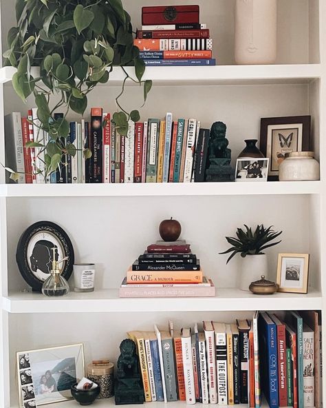 Tall White Bookshelf, Books And Plants, Dc Apartment, School In New York, White Bookshelf, Office Decore, White Bookshelves, Living In China, California Modern