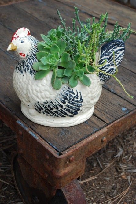 Vintage Chicken, Ceramic Chicken, Gardening Inspiration, Rooster Decor, Chicken Decor, Succulent Gardening, Chickens And Roosters, Succulents In Containers, Garden Containers