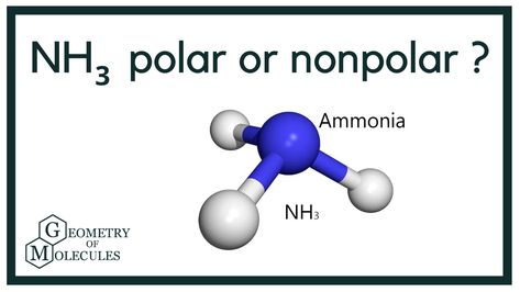 In this video today we are going to look at the polarity of Ammonia, having a chemical formula of NH3. The polarity of any given molecule depends upon its Lewis structure, electronegativities of the atoms involved in the formation of structure and the dipole moment in it. #NH3Polarity #PolarityofAmmonia #AmmoniaPolarity Lewis Structure, Chemistry Education, Chemical Formula, Chemistry, Geometry, To Look, Look At, Education, In This Moment