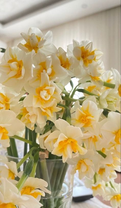 Dafodill Bouquet, Daffodil Bouquet, Flower Boquet, Beautiful Flowers Images, Flower Guide, Nothing But Flowers, Wallpaper Nature Flowers, Plant Aesthetic, Flower Therapy