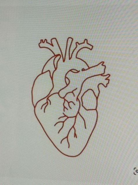 Human Heart Outline, Real Heart Tattoos, Unique Minimalist Tattoo, Patience Tattoo, Human Heart Tattoo, Anatomical Heart Drawing, Heart Outline Tattoo, Anatomical Heart Tattoo, Tattoo Maker