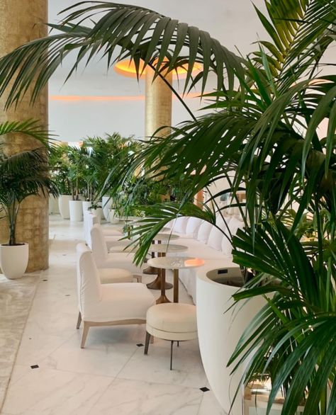 Did you ever dream of being able to experience the amazing smell of the 1 Hotel in Miami in your home? Well, now you can!🌴 #miami #1hotelsouthbeach Miami Hotel Aesthetic, The 1 Hotel, Miami Hotel, Hotel Aesthetic, Edition Hotel, Miami Hotels, 1 Hotel, Branding Inspo, Corner Decor