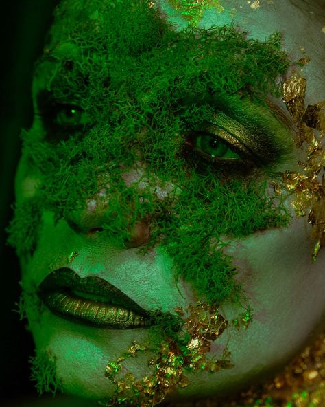 The inspo was moss growing on rocks 🪨🌿⚜️ Which part of this portrait resonates with you the most? Moss Makeup, Moss Growing, Horror Makeup, Fantasy Makeup, Makeup, Quick Saves, Make Up