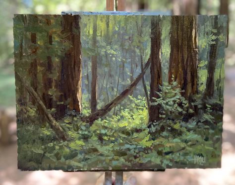 The Redwoods, Blood Art, Forest Painting, Plant Painting, Arte Inspo, Landscape Illustration, Plein Air Paintings, Ethereal Art, Traditional Paintings