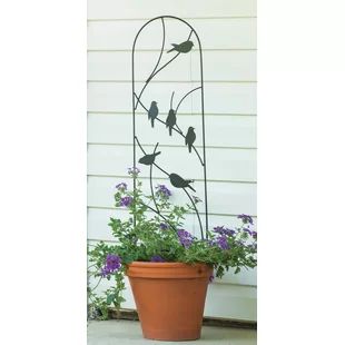 Panacea Products Planter Steel Arched Trellis | Wayfair Potted Plant Trellis, Mini Trellis, Arched Trellis, Expanding Trellis, Pot Trellis, Metal Garden Trellis, Climbing Plant Support, Obelisk Trellis, Willow Garden