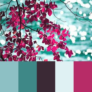 Color Catalog, Fuchsia Purple, Color Schemes Colour Palettes, Pallet Painting, Design Seeds, Color Palette Design, Color Inspo, Fuchsia Color, Popular Color