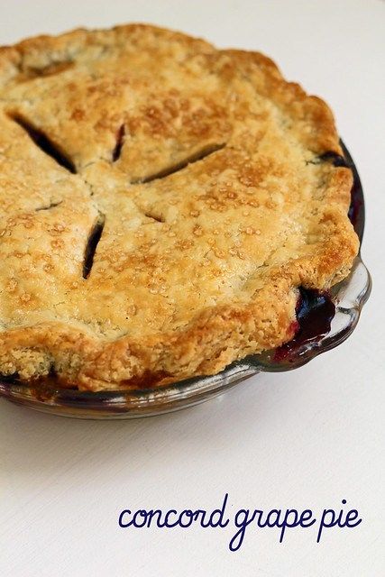 concord grape pie Coconut Chess Pie, Grape Pie Recipe, Concord Grape Pie, Pie Pastry Recipe, Grape Pie, Grape Jam, Chess Pie, Grape Recipes, Easy Pie Recipes