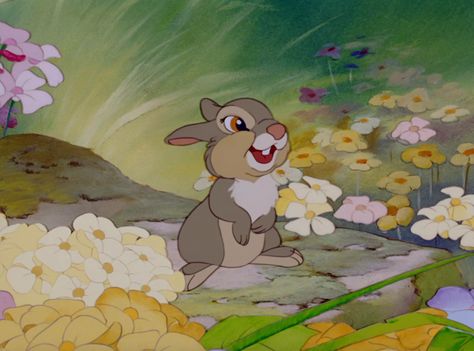 Thumper Panpan Disney, Thumper Disney, Bambi And Thumper, Bambi Disney, Bumbo, Cute Disney Pictures, Disney Animals, Film D'animation, Arte Disney