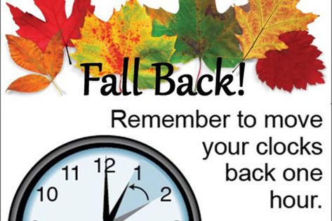 Found on Bing from www.trailtimes.ca Turn Back Time Quotes, Turn Clocks Back, Daylight Savings Time Humor, Clocks Fall Back, Daylight Saving Time Ends, Clocks Forward, Weather Center, Taco Time, Daylight Saving