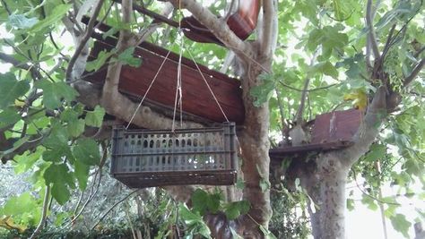 Tree House Elevator, House Elevator, Simple Tree House, House Lift, Tree House Diy, Dream Cabin, Outdoor Buildings, Simple Tree, Play Equipment