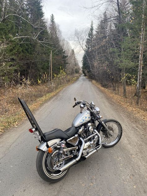 Harley-Davidson Sportster Chopper. Rabbit ears handlebar Sportster Chopper, Rat Bike, Harley Davidson Sportster, Rabbit Ears, Chopper, Rats, Harley Davidson, Bike, Vehicles