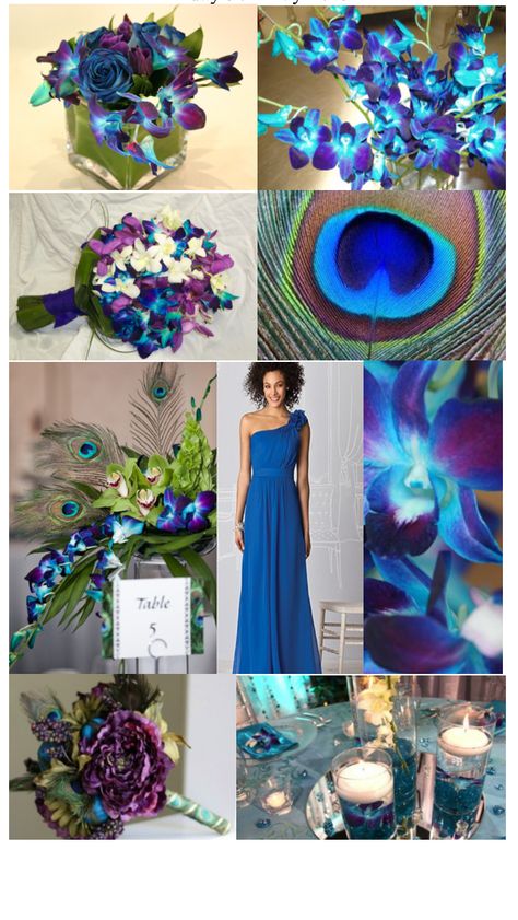 Peacock colour mood board Peacock Inspiration Board, Peacock Mood Board Fashion, Peacock Mood Board, Peacock Colour Palette, Peacock Color Scheme, Peacock Colour, Board Themes, Bride Stuff, Colour Mood