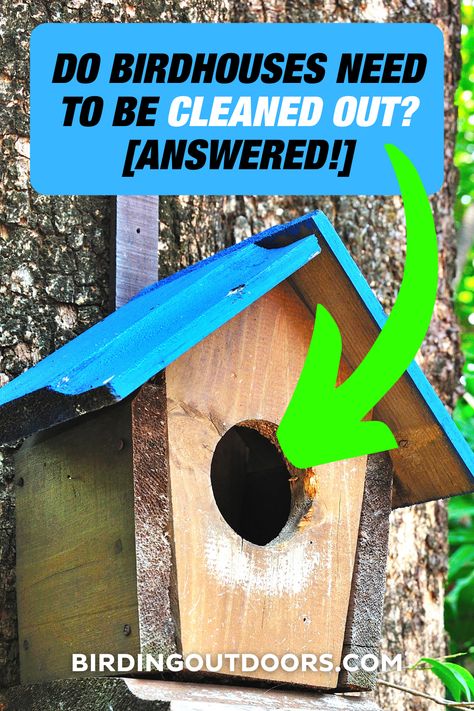 Bird And Butterfly Garden Ideas, Pallet Wood Bird House, Decorating Bird Houses Ideas, Bird Houses Ideas Diy Homemade, How To Build A Bird House, Wooden Bird Houses Painted, Blue Bird Houses Diy, Diy Bird Houses Ideas How To Make, Easy Bird Houses To Make