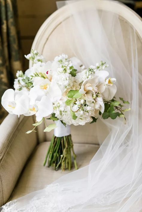 White Orchid Bouquet, White Orchids Wedding, Orchid Bridal Bouquets, Orchid Bouquet Wedding, Bouquet Photography, Orchid Bouquet, Romantic Garden Wedding, Bridal Bouquet Flowers, Orchid Wedding