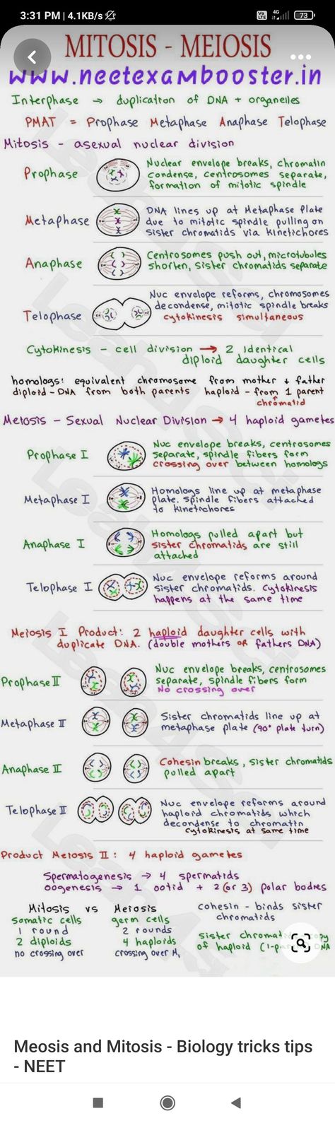 Short notes or kinda flashcards of biology 11 Biology Notes, Class 11 Biology Notes Cell Cycle And Cell Division, Cell Cycle And Cell Division Mind Map, Cell Cycle And Cell Division Notes For Neet, Bio Notes Class 11, Cell The Unit Of Life Notes For Neet, Biomolecules Notes Biology Class 11, Biology Neet Tricks, Cell Division Notes Aesthetic