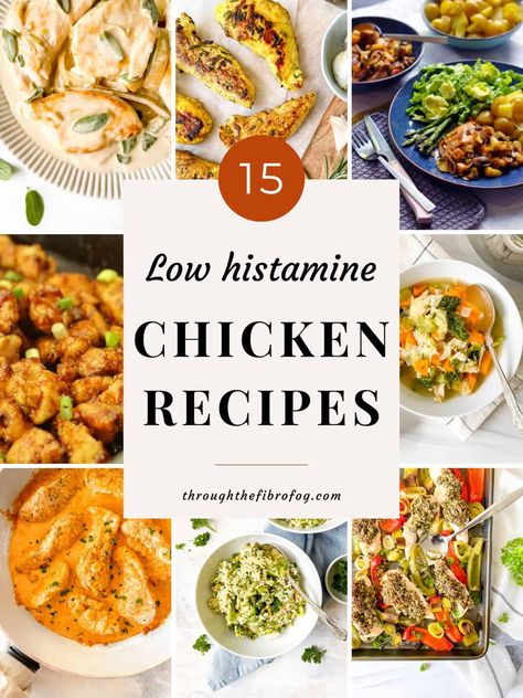 15 delicious low histamine chicken recipes - Through The Fibro Fog Low Histamine Casserole, Antihistamine Diet, Bladder Friendly Recipes, Chicken Air Fryer Recipes, Anti Candida Recipes, Chicken Air Fryer, Low Residue Diet, Ground Turkey Soup, Low Histamine Foods