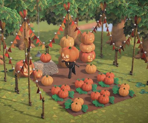 All Posts • Instagram Pumkin Designs, Animal Crossing Designs, Farm Town, Path Design, City Folk, Pumpkin Farm, New Animal Crossing, Animal Crossing Game, Island Design