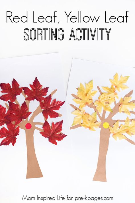 Red Leaf, Yellow Leaf Sorting Activity. A fun sorting activity for your kids at home or in your preschool classroom! - Pre-K Pages Leaf Activities Preschool, Leaves Preschool, Story Stretchers, Preschool Autumn, Leaf Activity, Leaf Activities, Halloween Theme Preschool, Autumn Preschool Theme, Lois Ehlert