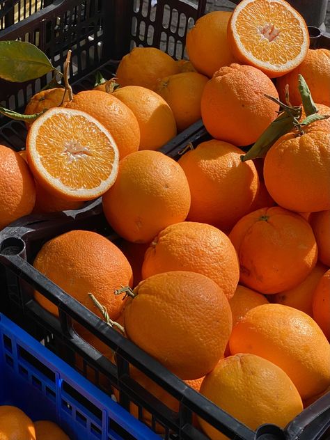 Sicily produces almost 4 million tons of citrus fruits a year, but it is the orange that reigns supreme. https://italysegreta.com/sicily-the-island-of-orange-groves/ Orange Groves, Orange Trees, Orange Grove, Orange Soda, Italy Aesthetic, Citrus Fruits, Orange Aesthetic, Orange Tree, Forest Fire