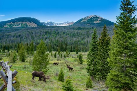 Inn-to-Inn Hiking Is Becoming More Popular in the U.S.—Here's Where to Try It | Condé Nast Traveler Hiking Routes, Shenandoah National Park, Southern Oregon, Wine Country California, Appalachian Trail, Rocky Mountain National, Mountain Resort, Conde Nast Traveler, Rocky Mountain National Park