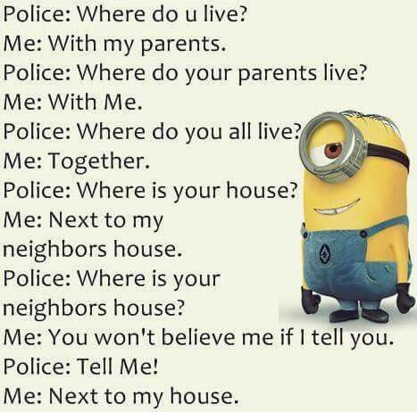 Police: Where do you live? Me: With my parents. Police: Where do your parents live? Me: With me. Police: Where do y'all live? Me: Together. Police: Where is your house? Me: Next to my neighbors house. Police: Where is your neighbors house? Me: You won't believe me if I tell you. Police: Tell me! Me: Next to my house...HeHeHe... Minions Random, Memes Movie, Best Kid Jokes, Minions Cute, Police Jokes, Kid Jokes, Minions Fans, Cops Humor, Funny Minion Memes