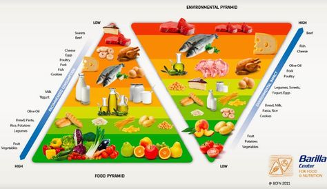 The Double Pyramid is an innovative way of portraying how the ecological footprints of our food compare to their nutritional value. Pyramid Food, Nutrition Guidelines, Food Pyramid, Food System, Did You Eat, Nutrition Guide, Sustainable Food, Health Eating, Greens Recipe