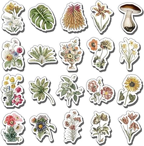 Floral Stickers Vintage Flowers, Floral Stickers Free Printable, Vintage Stickers Printables Retro, Vintage Flowers Stickers, Stiker Journal, Stickers Bonitos, Water Bottle Decals, Vintage Plants, Girls Stickers