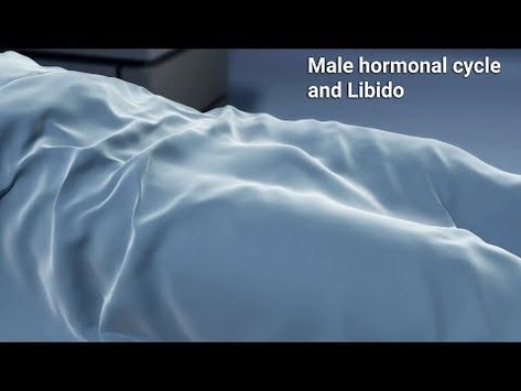 Male Hormonal Cycle & Libido-Like women,men experience hormonal shifts affecting their sexual desire - YouTube Hormonal Cycle, Slow Aging, Aging Process, Women Men, Cycling, Health