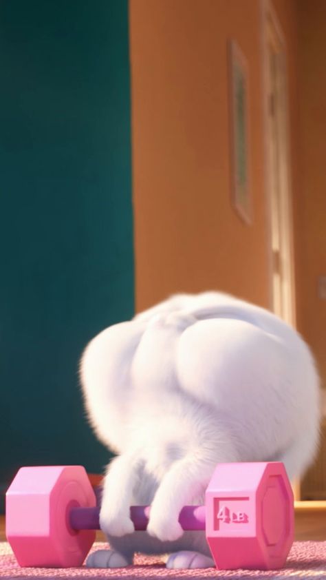 Snowball Rabbit, Rabbit Wallpaper, Cute Bunny Cartoon, Perfect Movie, Bunny Wallpaper, Disney Phone Wallpaper, Secret Life Of Pets, Cute Cartoon Pictures, Rabbit Cartoon