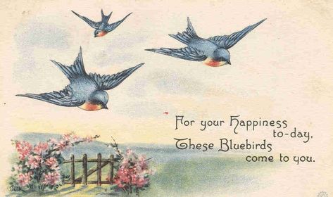 Bluebird of Happiness | Bluebird Of Happiness Quotes. QuotesGram Baby Gift Tags, Bluebird Of Happiness, Bluebird Vintage, Happy Birthday Vintage, Bird Birthday, Blue Birds, Images Vintage, Vintage Greeting Cards, Digital Collage Sheets