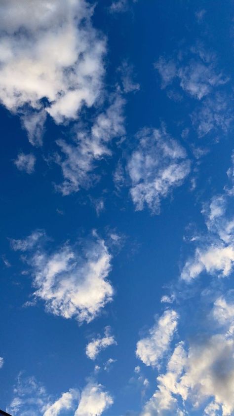 Blue Sky Wallpaper, Blue Sky Clouds, Sky Images, Daisy Wallpaper, Alone Photography, Sky Wallpaper, Cloud Wallpaper, Sky Pictures, Background Images Hd