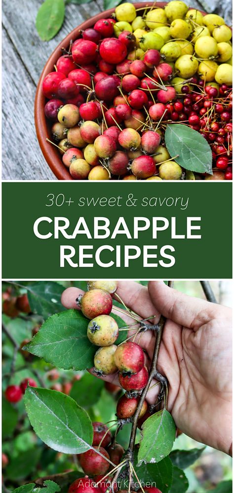 Wild Apple Recipes, Crabapple Chutney, Crabapple Pie, Crabapple Recipes, Tart Fruit, Traditional Indian Food, Food Foraging, Wild Food Foraging, Foraging Recipes