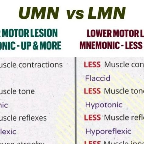 Medicine file on Instagram: "Upper motor neuron lesion vs lower motor neuron lesion memory aid

#medicine #med #medstudent #medical #medicinefiles" Upper Motor Neuron, Motor Neuron, Med Student, Nursing Education, Nursing, Medicine, Medical, Education, On Instagram