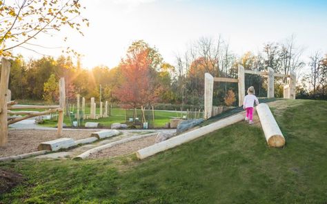 Tree Playground, Playground Slides, Natural Play Spaces, Hill Landscape, Wooden Playground, Playground Slide, Natural Play, Gravel Path, Natural Playground