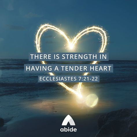 Tough Skin, Tender Heart - Ecclesiastes 7:21-22 - Abide Tender Heart Quotes, Two Are Better Than One Ecclesiastes, Ecclesiastes 8:15, Ecclesiastes 3:1-8, Ecclesiastes 12:13-14, Bible Verse Ecclesiastes 3:1, Good Proverbs, Ecclesiastes 7, Ecclesiastes 12