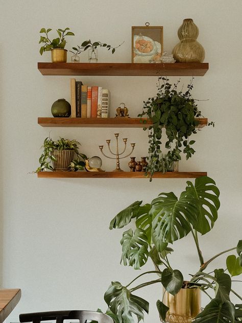 Narrow Bookshelf Styling, Floating Shelves Plants, Whimsical Shelves, Shelf Decor Plants, Plant On Shelf, Minimal Shelf Decor, Decorated Shelves, Boho Shelves, Boho Shelf Decor