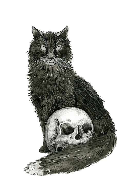 Gothic ink illustration of an undead cat and skull in black and white Edgar Allen Poe Art, Drawing Of A Cat, Gothic Drawings, Dragon Sleeve, Cat Biting, Cat Skull, Punk Art, Black Cat Art, Cat Character