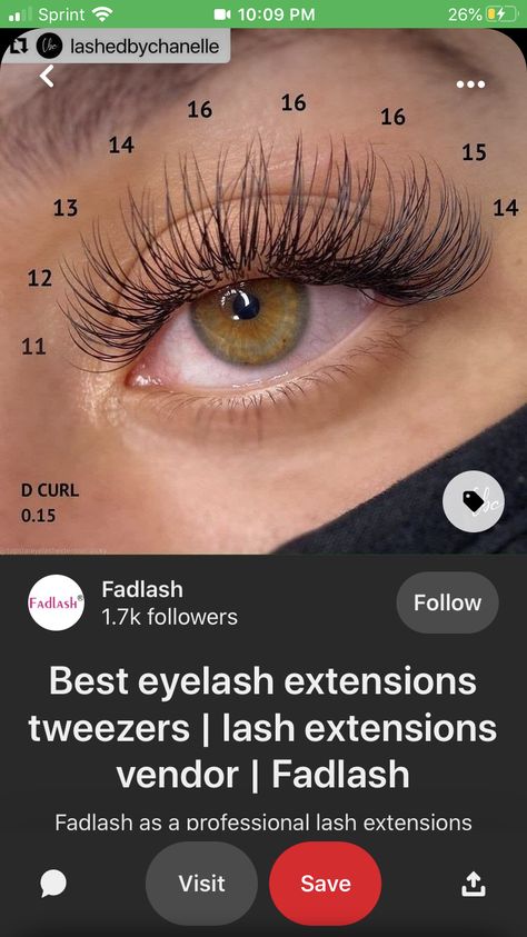 Best Lash Extensions For Eye Shape, Lash Map Classic, Classic Eyelash Extensions Mapping, Classic Lash Mapping, Classic Lash Extensions Mapping, Wispy Classic Lash Extensions, Classic Lash Map, Types Of Lash Extension Styles, Classic Lash Extensions Styles