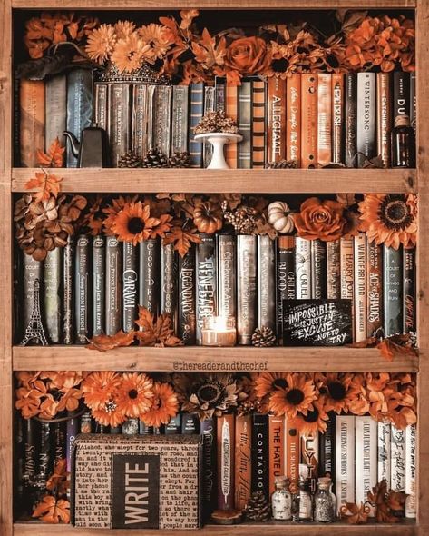 Halloween//Autumn//🎃👻 on Instagram: “I’ve been reading a lot recently but this bookshelf is so cute🍂  • • • • • • • • • •#halloween2020 #fall2020 #autumn #autumn2020…” Spooky Books, Autumn Feeling, Opening Lines, Cute Fall Wallpaper, Autumn Magic, Fall Inspo, Cozy Autumn, Fall Feels, Fall Pictures