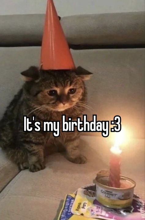 It’s My Bday, Its My Bday, Hbd To Me, Cute Birthday Pictures, Today Is My Birthday, It S My Birthday, Birthday Posts, Birthday Meme, Sweet 16 Birthday