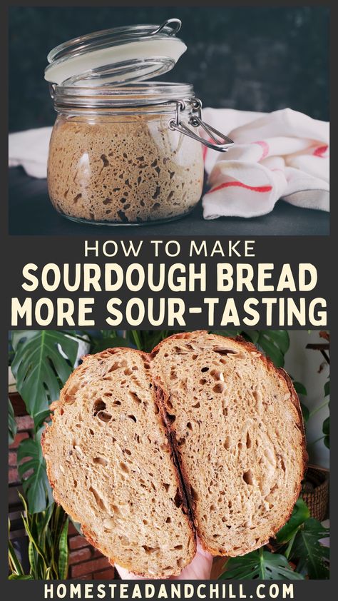 Craving an extra tangy loaf of bread? Read along to learn 10 different ways to manipulate your starter, dough, and baking process to make your sourdough bread taste more sour tasting! #sourdoughstarter #sourdoughbaking #sourdough #sourdoughbread Extra Sour Sourdough Bread Recipe, Sourdough Zucchini Bread Recipe, Starter Dough, Make Sourdough Bread, Dough Starter, Baking Process, Paleo Foods, Scratch Recipes, Bread Starter