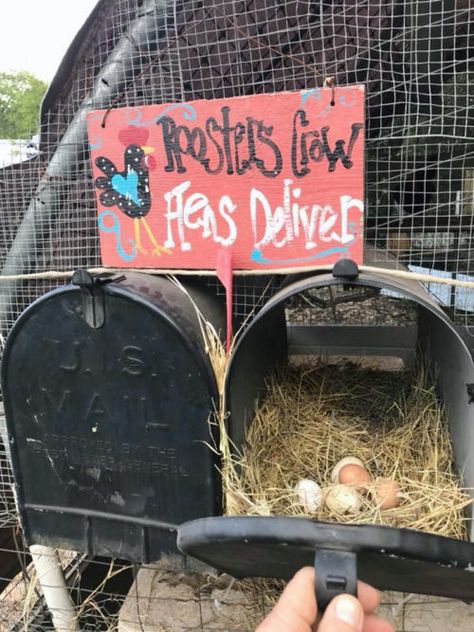 Tire Nesting Boxes For Chickens, Diy Nesting Boxes For Chickens Cheap, Milk Crate Nesting Boxes, Chicken Nesting Box Ideas, Nesting Box Ideas, Chicken Laying Boxes, Nesting Boxes Diy, Yard Animals, Chicken Boxes