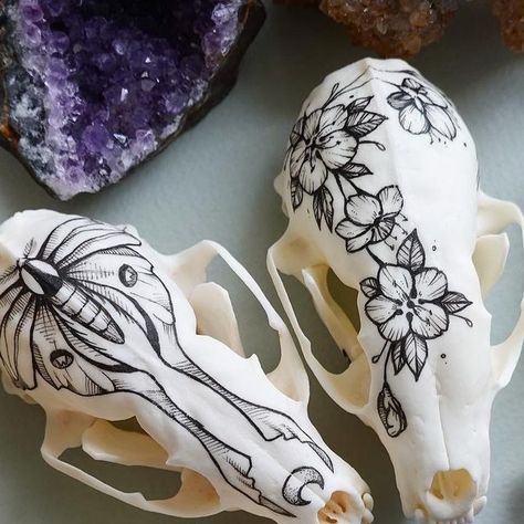 Decorated Animal Skulls, Decorated Cow Skulls, Painting Bones, Animal Bone Art, Graveyard Garden, Bone Hunting, Bone Witch, Oddity Art, Skull Study